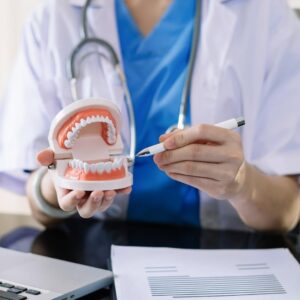 Dentist showing teeth model